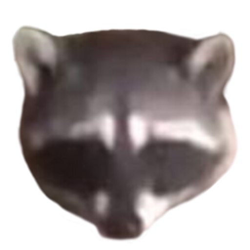 Racoon Head